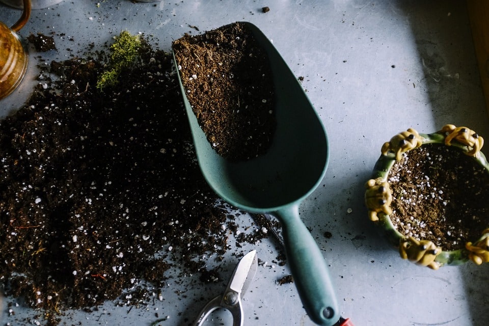Jardinage simplifié&nbsp;: astuces, tutos et conseils essentiels 