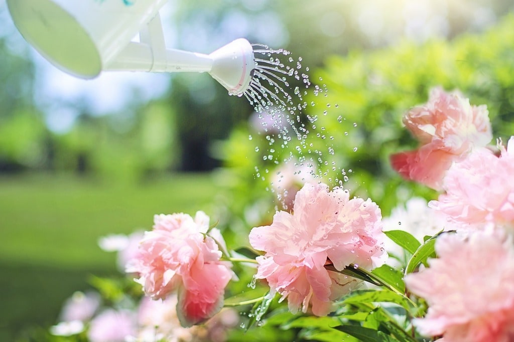 Pourquoi opter pour un désherbage thermique dans votre jardin ?